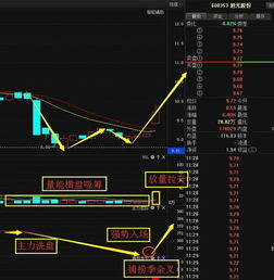 旭东广电迎重大利好，马云张近东携手布局引爆计算机软硬件开发新浪潮