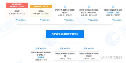 掌阅科技战略入股西安君悦网络 6.67%股权布局计算机软硬件开发新赛道